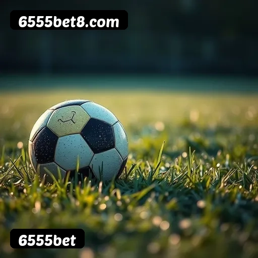 6555bet suporte 24/7 português Brasil - 47 atendentes brasileiros chat ao vivo